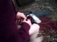 Девка сняла свои красивые трусы и трахнулась, кавказское порно, трах жены, кончил на попку, uzbum.su