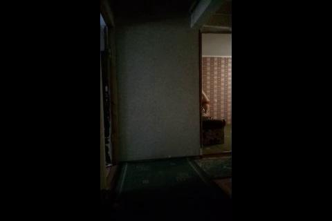 Сиськи казашки во время секса быстро скачут, казахский секс, попка казашки, анал с казашкой, uzbum.su