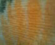 Уломал на домашний секс красивую таджикскую проститутку, таджикский секс, секс таджиков, трахнул таджичку, таджик трахает, uzbum.su