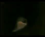 Цыганка показала свою мохнатую киску, цыганское порно, трахнул цыганку, минет цыганки, цыганка отсосала, uzbum.su