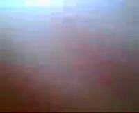 Реальный запал узбеков в саду