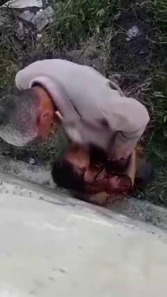 Бобой хотини огзига бервотти, узбекский секс, трахает узбечку, кончил в узбечку, узбечка занимается сексом, uzbum.su