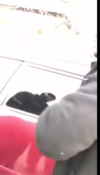 Чужая жена сидела в машине и спалилась, узбекское порно, узбечка трахается, сиськи узбечки, узбек дает защеку, uzbum.su