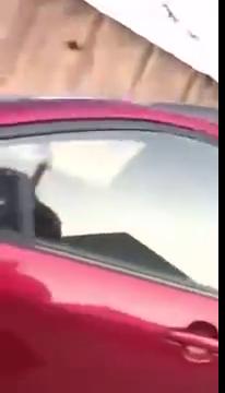 Чужая жена сидела в машине и спалилась, узбекское порно, узбечка трахается, сиськи узбечки, узбек дает защеку, uzbum.su