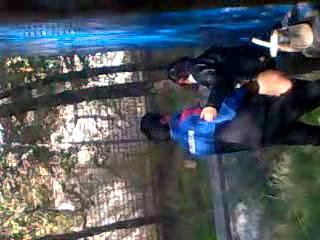 Гулистанский запал 1, Запал видео из Гулистан парка ххх молодых, uzbum.su