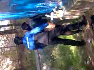 Гулистанский запал 1, Запал видео из Гулистан парка ххх молодых, uzbum.su