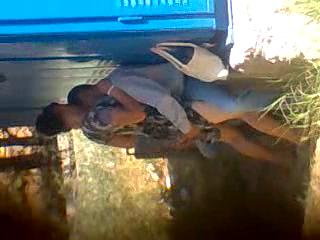 Гулистанский запал 2, Молодые запал секс изгулистан парка, uzbum.su