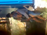 Гулистанский запал 2