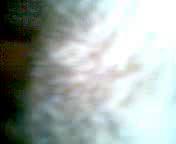 Первое секс видео Дилназы из города Ургенч, Муж, впервые, снимает, на камеру, свою, любимую, жену, Дилнозу, из города, Урганч, они занимаются, нежным, сексом, сначала, ей не нравиться, камера, но после, того как, муж начинает, ускорятся, она забывает, про камеру, и начинает, стонать., uzbum.su