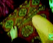 Порно видео уз домашнее, Узбечка, делает, отличный, минет своему, парню, а тот снимает, на камеру, uzbum.su